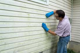 Affordable Siding Repair and Maintenance Services in Ocean Pointe, HI